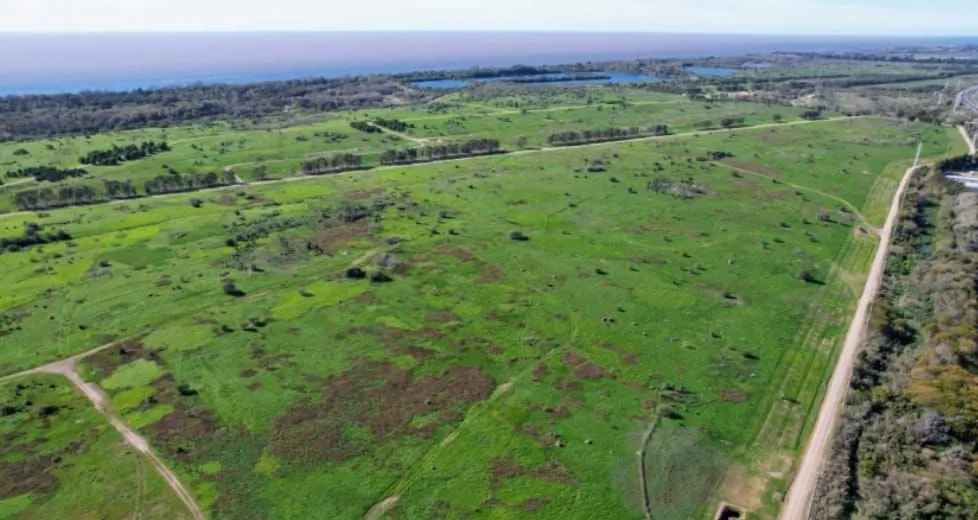 imagen_2023-06-06_140317837