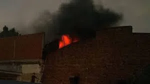 sssssssaaaaaaaaaaawwwwwww