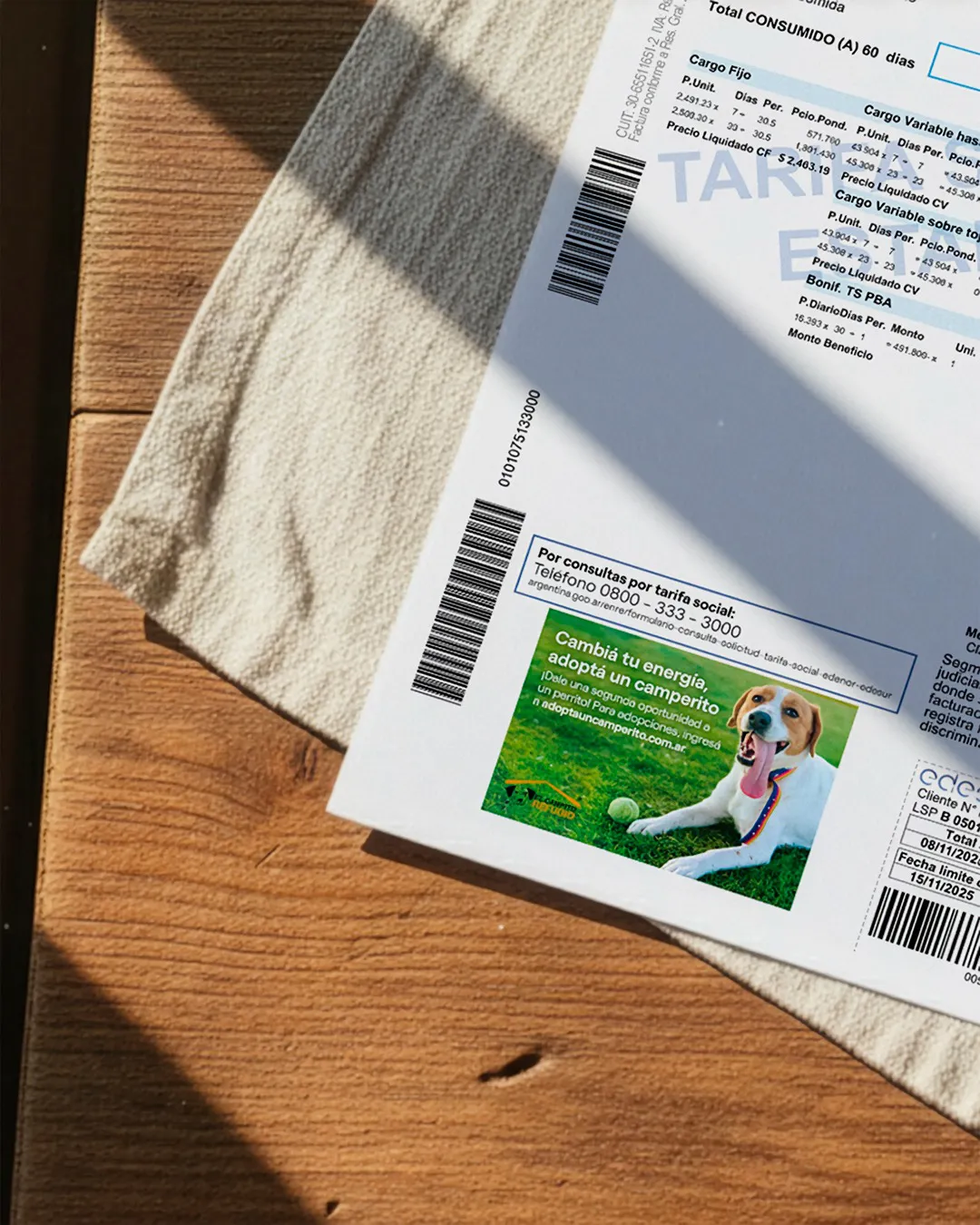 multimedia.normal.a606cce31e95b59d.bm9ybWFsLndlYnA=