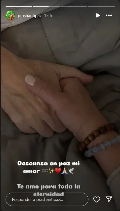 imagen_2025-01-27_111013935