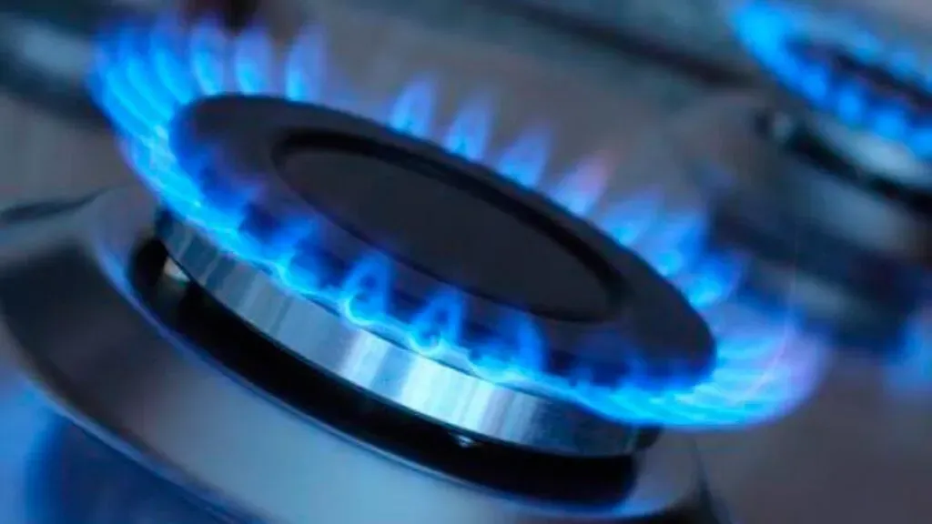 imagen_2025-03-06_114857230