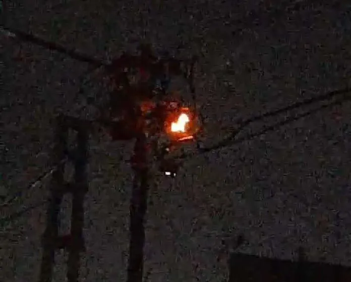 IMG_COM_202402121001528280-696x559